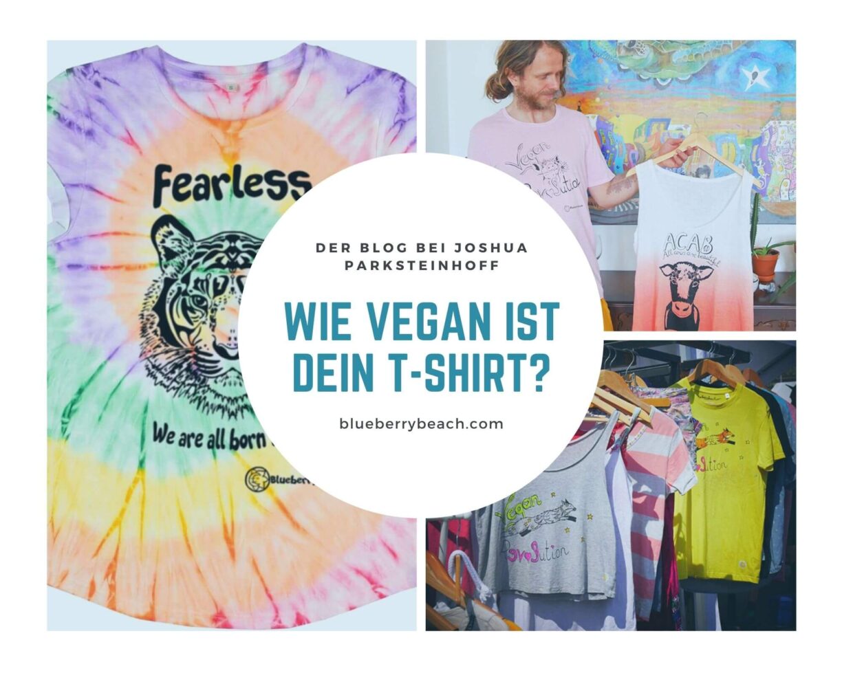 vegan t-shirt, Joshua presenting his vegan blog and sustainable clothing