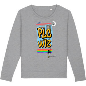 PLGWTZ organic women sweater dazzler